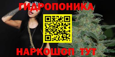 гидра Балашиха