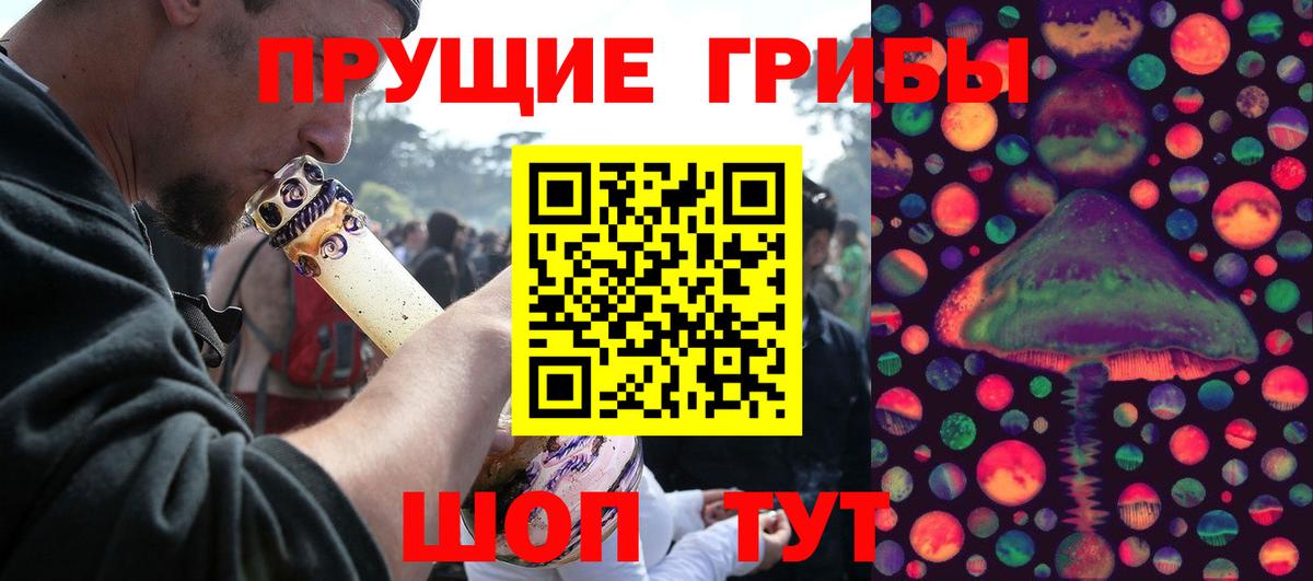 Псилоцибиновые грибы Psilocybe  Вход с VPN  Галлюциногенные грибы Psilocybe  Дзержинск 