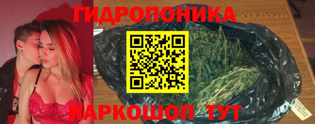 Конопля конопля Дзержинск